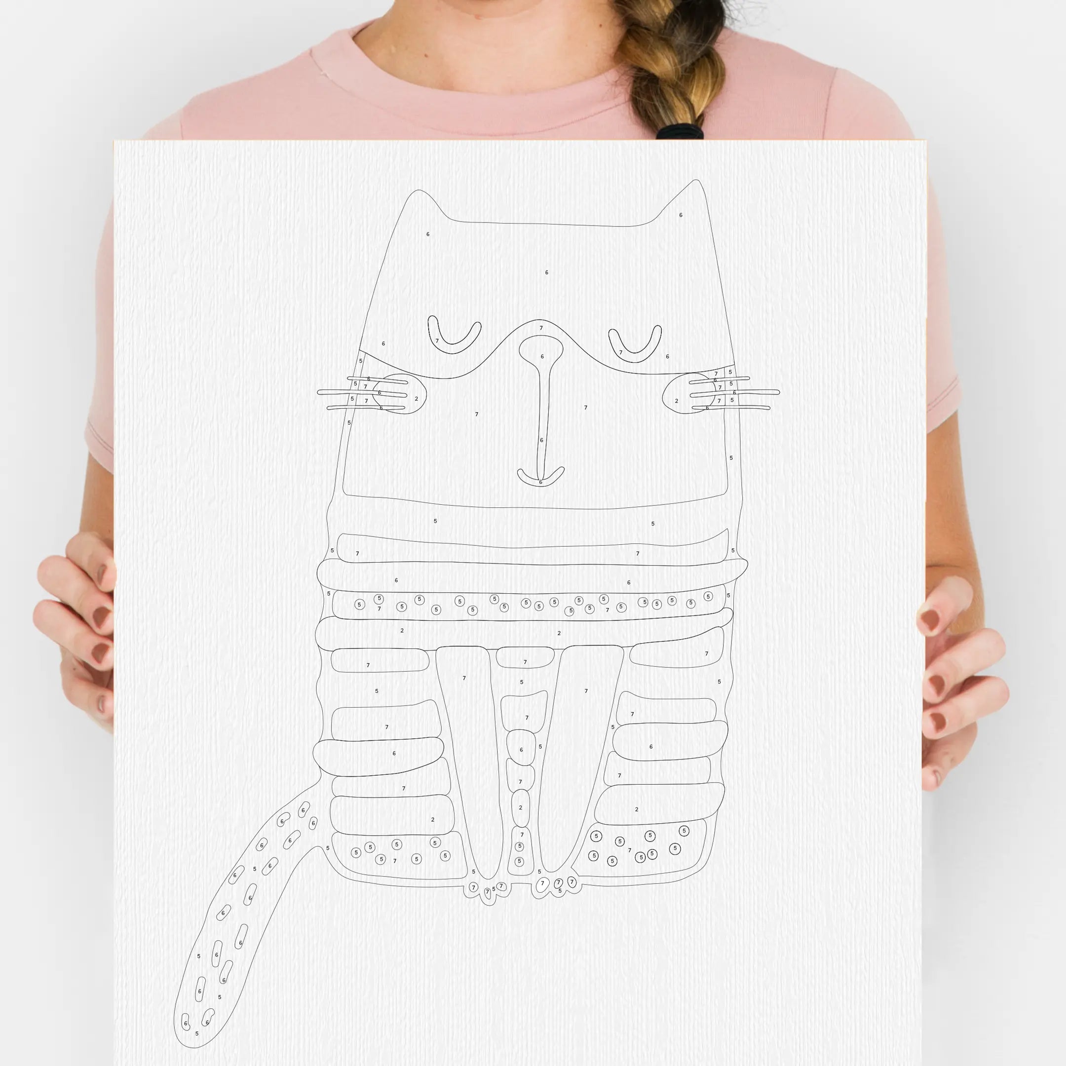 Crazy Cats Set