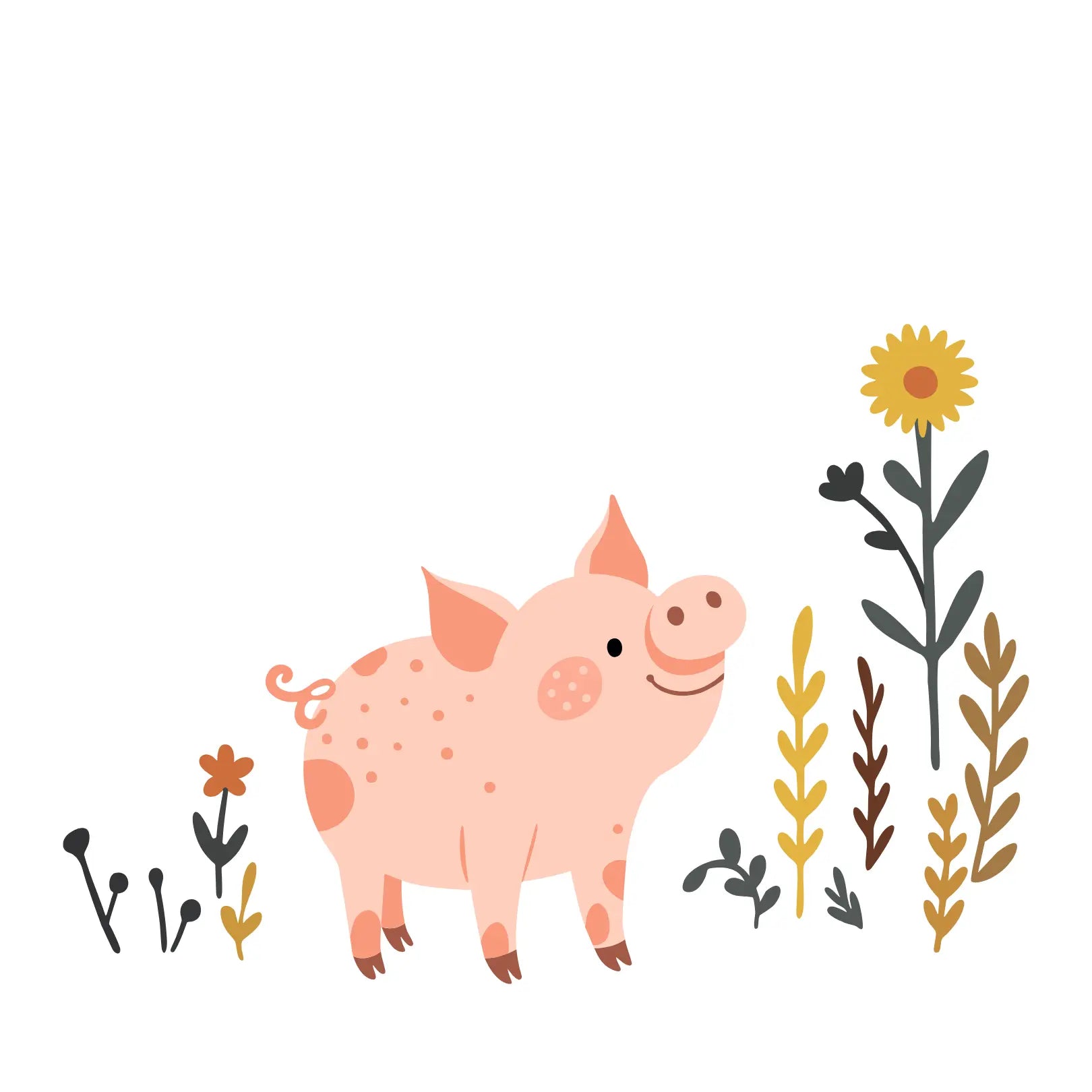 Farm Pig